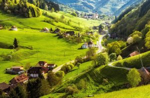 Antreprenoriatul sustenabil condus de femei în 2025