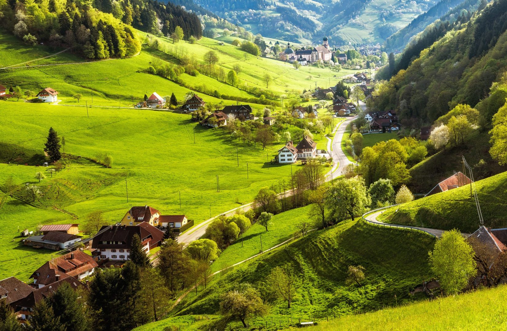 Antreprenoriatul sustenabil condus de femei în 2025