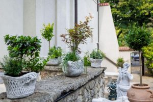 Evenimente business corporate desfășurate impecabil la EkoGroup Vila București